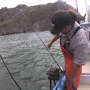 LIGHT TACKLE JIGGING FOR ROCKFISH AND LINGCOD