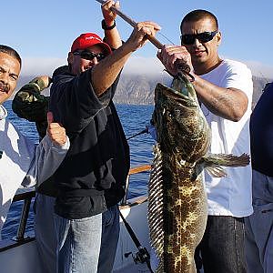 White Fish & Lingcod Fishing on the Pacific Islander • Fisheye Channel