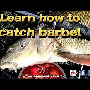 Barbel fishing tips, tactics and tackle on the River Wye