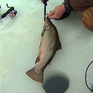 Ice Fishing for Brook Trout, Minden ON - Part 4 of 4