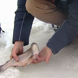 Ice Fishing for Brook Trout, Minden ON - Part 2 of 4
