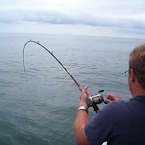 Half Moon Bay Lingcod Fishing
