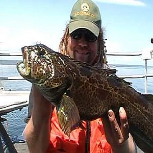 lingcod fishing in puget sound with capt TOP DOG using centerpin reel and downrigger