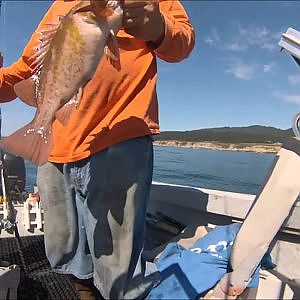 Off the HOOK California  Rockfish & Lingcod Fishing
