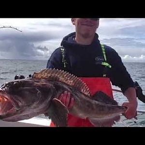 Ling cod jigs work great! Check out some of the Lingcod catches from this season
