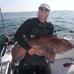 Giant female lingcod released back to the ocean to spawn.