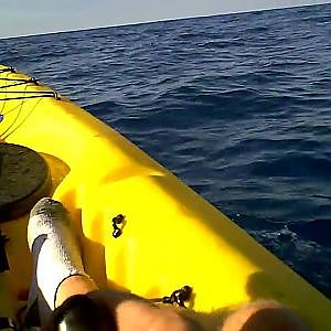 Kayak Fishing in Hawaii - HAMMERHEAD SHARK part 2