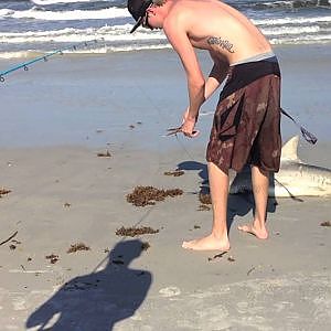 Shark Fishing at New Smyrna Beach