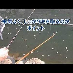 へらぶな釣り準備編　介绍锅铲鲫鱼日本钓鱼　Introducing spatula crucian carp fishing in Japan
