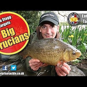 How to catch giant crucian carp - see a near record on camera!