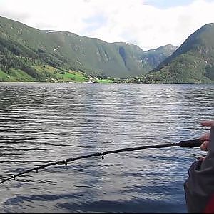 Angeln am Sognefjord