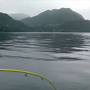 Seelachsangeln in Norwegen