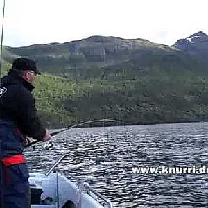 Angeln Norwegen: 18kg Seelachs in Andorja - 2/2
