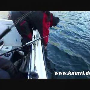 Angeln Norwegen: Seelachsangeln am Velfjord II