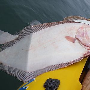 Flounder Fishing with Bucktails and Gulp