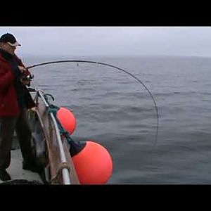 Galway Fishing. Pollock fishing with Max Couque in Galway Bay, Connemara,  Deep sea fishing Ireland
