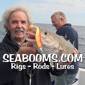 Seabooms catch them all Cod, Plaice, Pollock, Bass and Conger eels