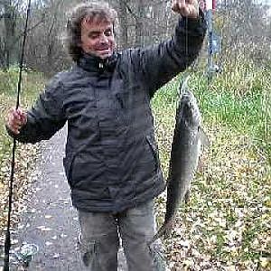 pesca asp en suecia(nunca un bagre)