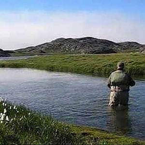 Arctic char fishing in  Greenland