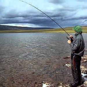 How 2 Fish (artic char in Alaska)