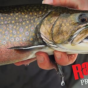 Pimpelfiske efter regnbåge och röding - Rapala Pro Guide | Ice Fishing for Rainbow Trout