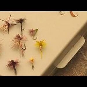 Fly Fishing Equipment & Tips : Types of Fly Fishing Flies