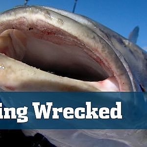 Wreck Fishing; How To Fish Wrecks In Florida