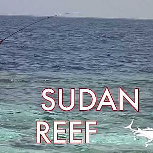 SUDAN REEF 1