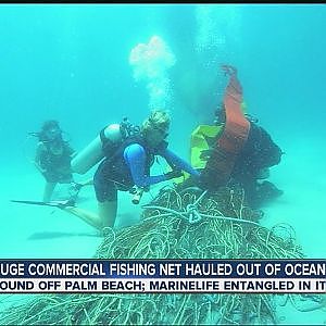 Huge commercial fishing net hauled out of ocean