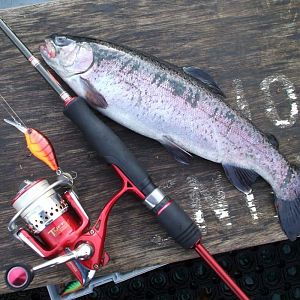 Hot Craw Lure for Trout