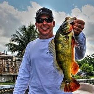 Miami Peacock Bass Fishing