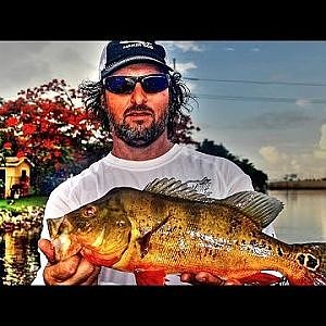 Extreme Peacock Bass Fishing  - BONUS Blooper Jeff eats it