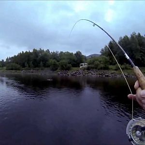 Lachs mit der Fliegenrute in Norwegen