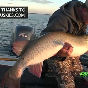 Big Fish 365 Episode 12- ESOX Superfish, Huge Mille Lacs Muskies, Huge Green Bay Muskies