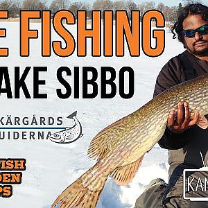 Pike fishing @ Lake Sibbo - 7 pikes over 100 cm in one day - KANALGRATIS.SE