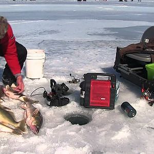 insane ice fishing!  lake erie walleyes