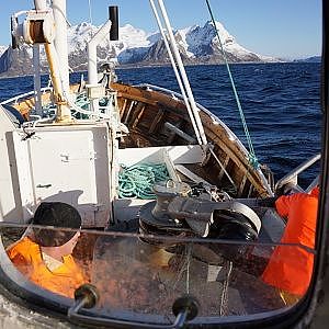 Breisund - Lofoten torskefiske utenfor Hamnøy