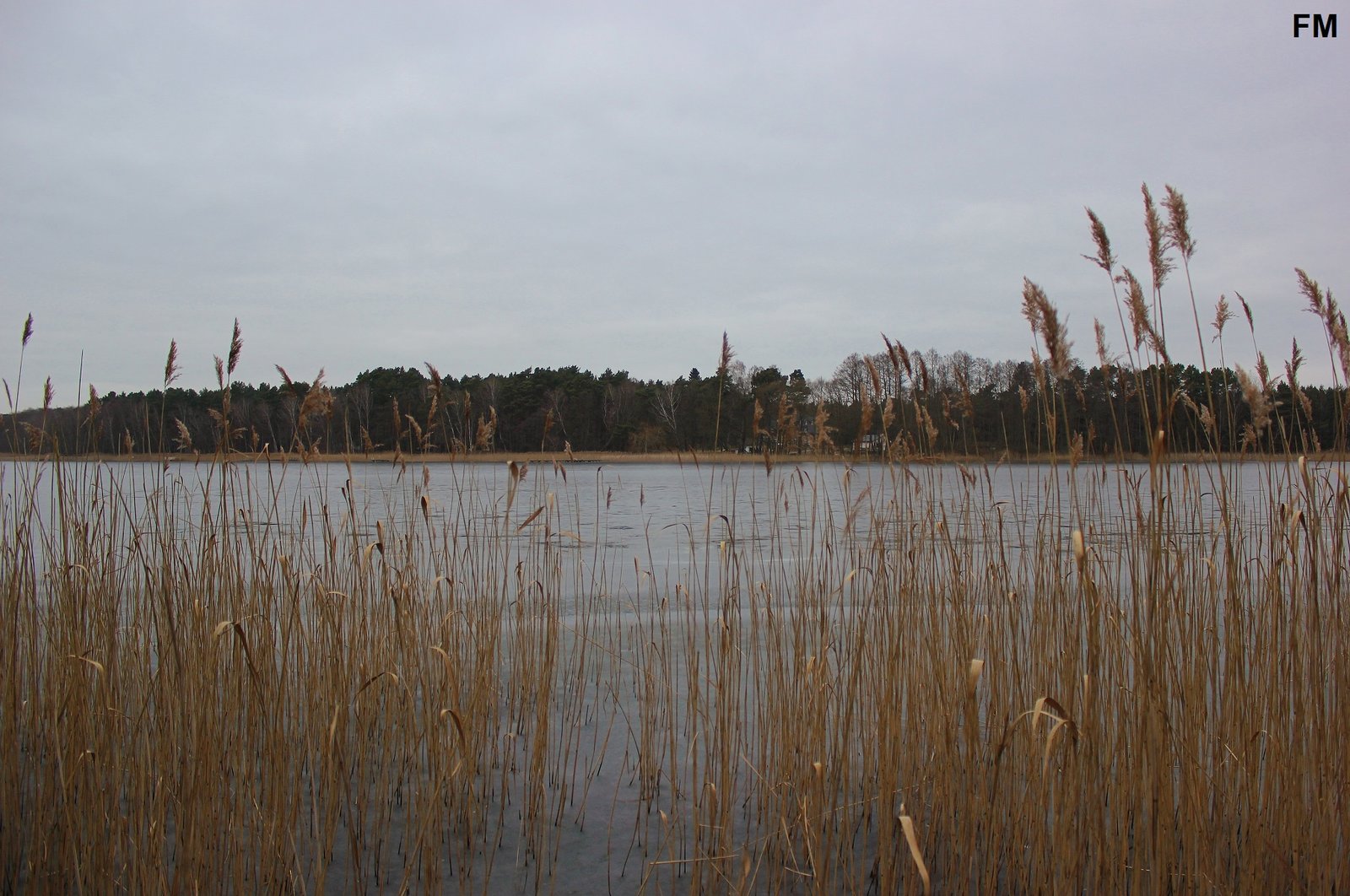 Großer Glubigsee (1).JPG
