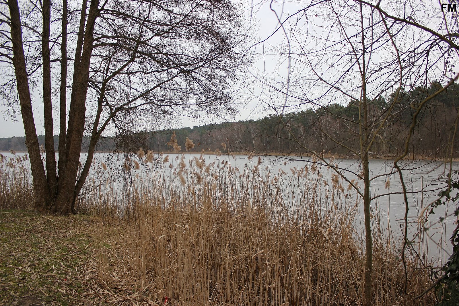 Petersdorfer See bei Petersdorf (3).JPG