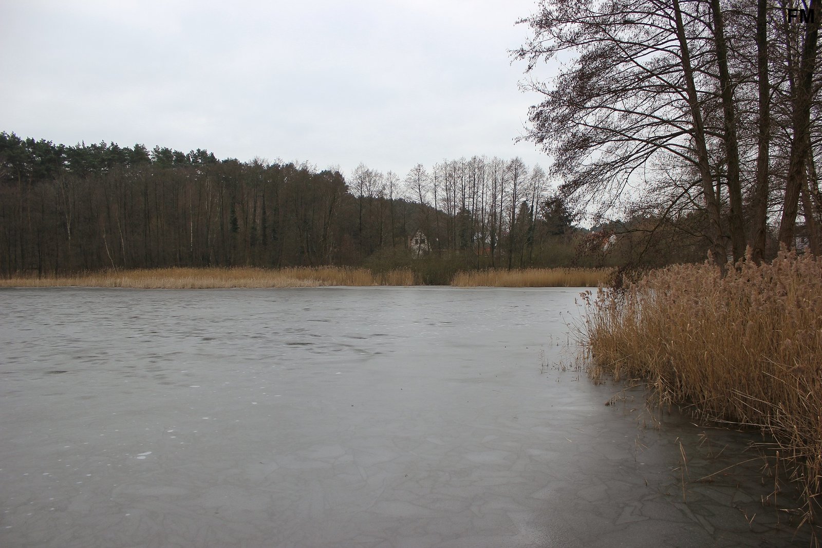 Petersdorfer See bei Petersdorf (8).JPG
