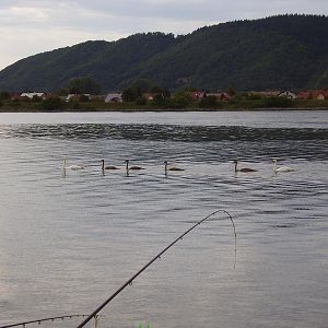 3 tolle Tage im Bayrichen Weiher & 2 Tage Donau bei Regensburg