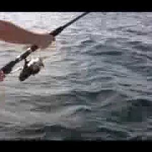 Tuna Fishing off of Gloucester, MA