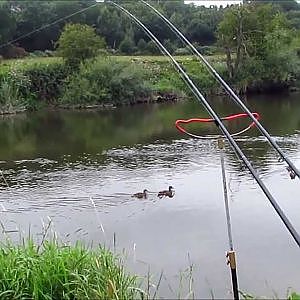 Barbel Fishing on the River Severn - Part 1 - Video 28