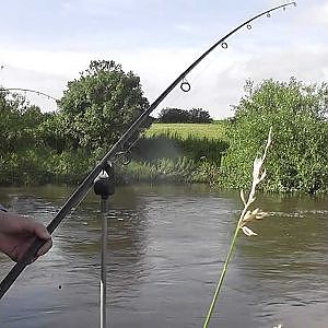 Barbel Fishing on the River Swale 97.