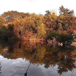 Barbel Fishing on the River Swale 4 - A glorious evening, a big take and two lovely barbel