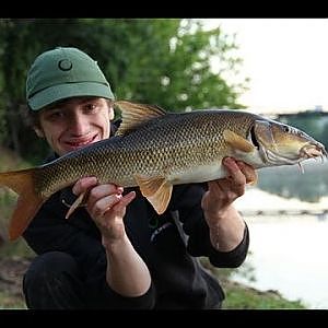 Summer Barbel fishing on the River Lot. (video 80)