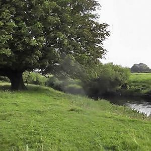 Barbel Fishing on the River Swale 48