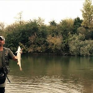 Exceptional bolo fishing - The almighty barbel