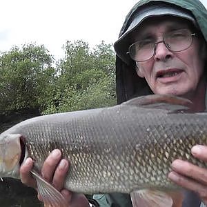 Barbel Fishing on the River Swale 106.