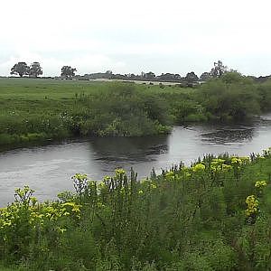 Barbel Fishing on the River Swale 52